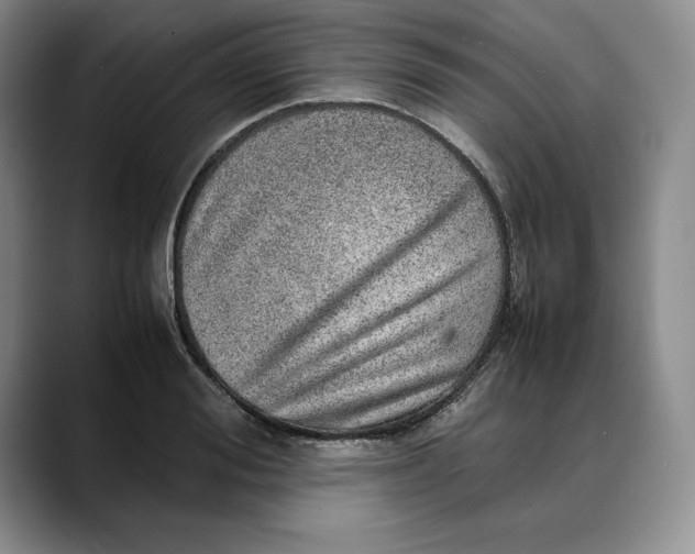 X0000088420988200706121429
