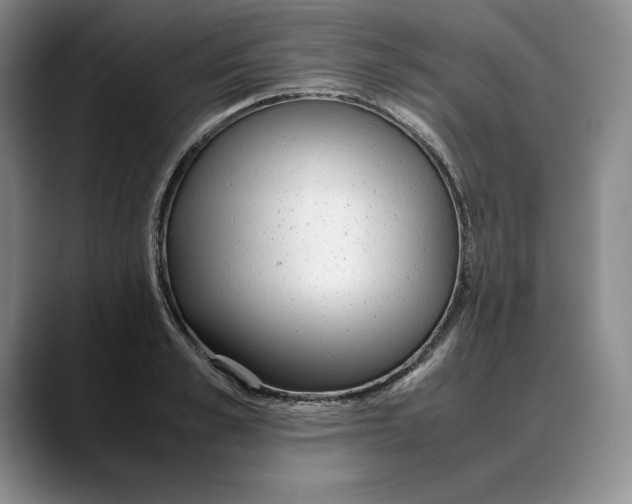 X0000088420989200706121429