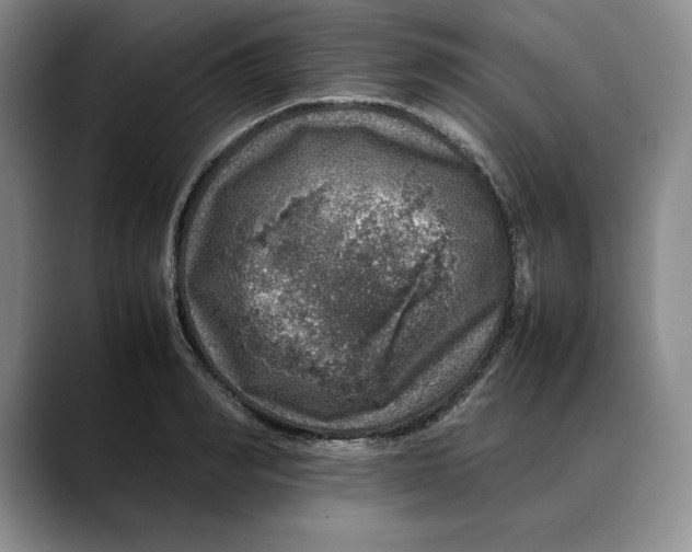 X0000088420990200706121429