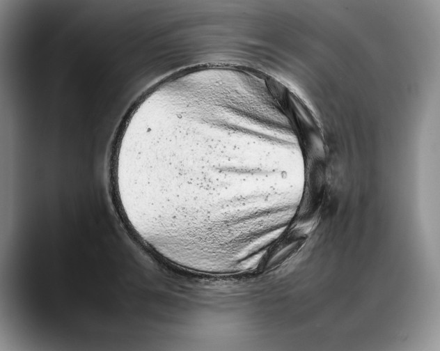X0000088420991200706121429