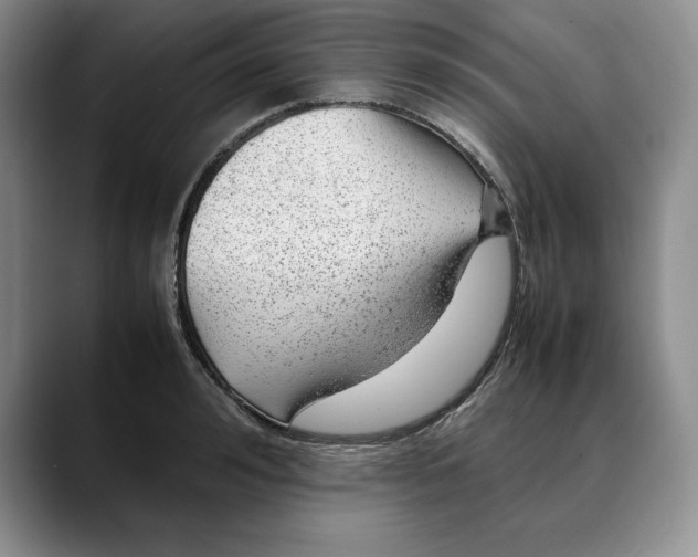 X0000088420992200706121429