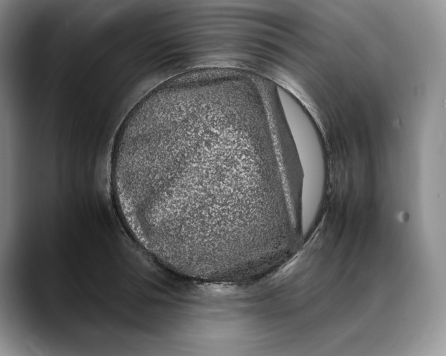 X0000088420994200706121429