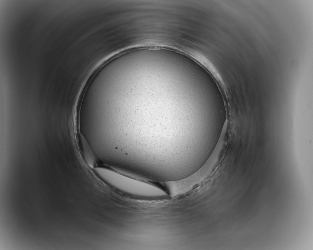 X0000088420996200706121429