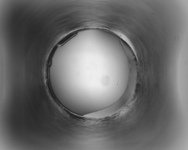 X0000088420997200706121429