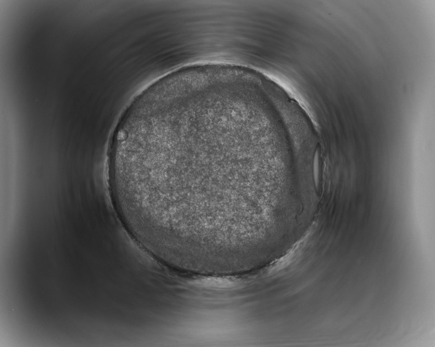 X0000088420998200706121429
