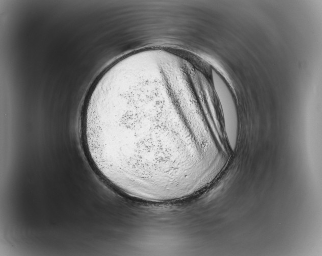 X0000088420999200706121429