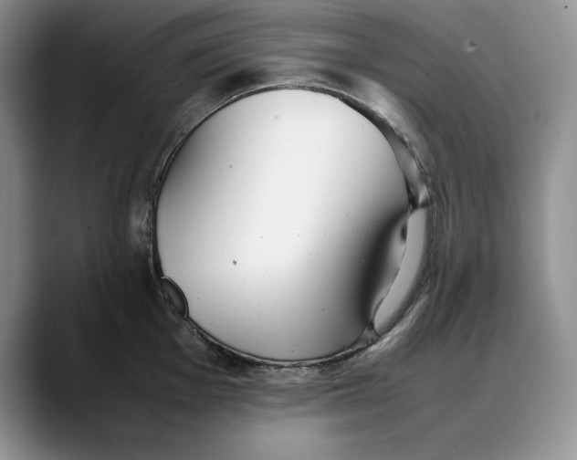 X0000088421001200706121429