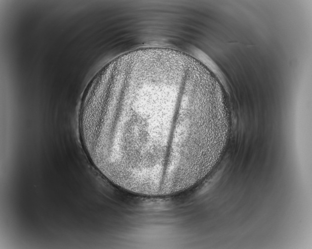 X0000088421002200706121429