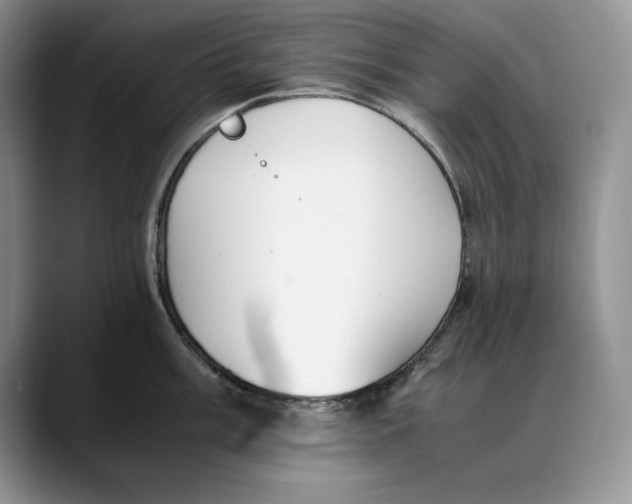 X0000088421003200706121429