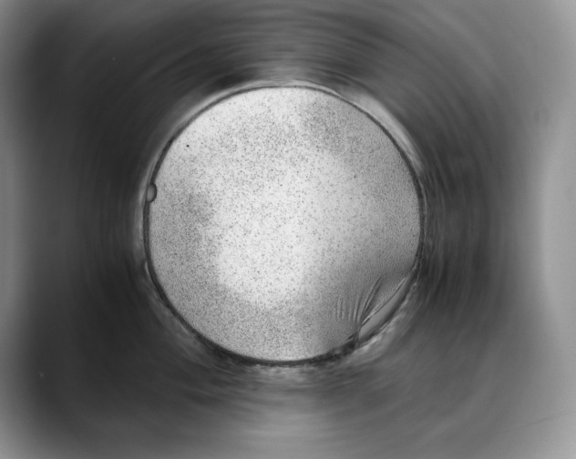 X0000088421004200706121429