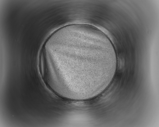 X0000088421006200706121429