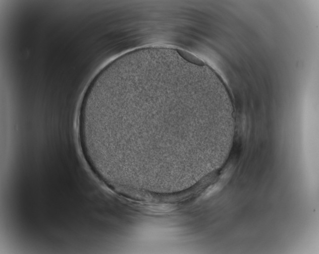 X0000088421007200706121429