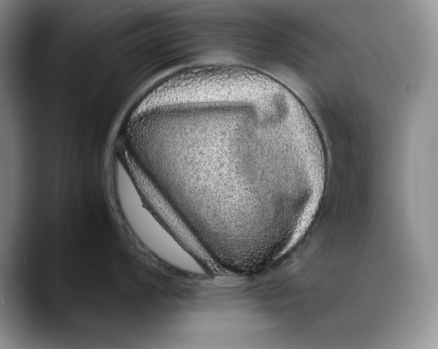 X0000088421008200706121429