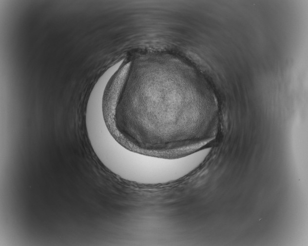 X0000088421010200706121428