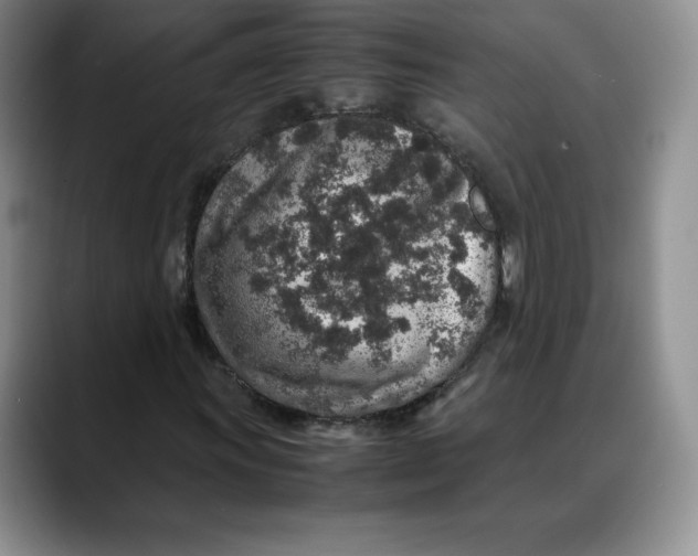 X0000088421011200706121428