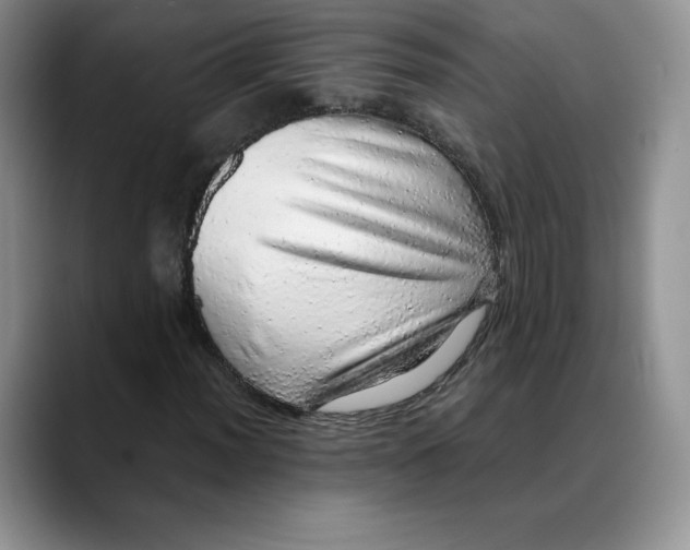 X0000088421012200706121428