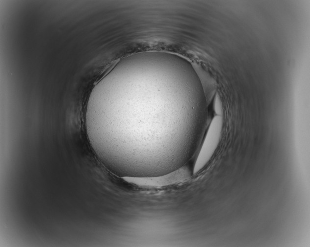 X0000088421014200706121428