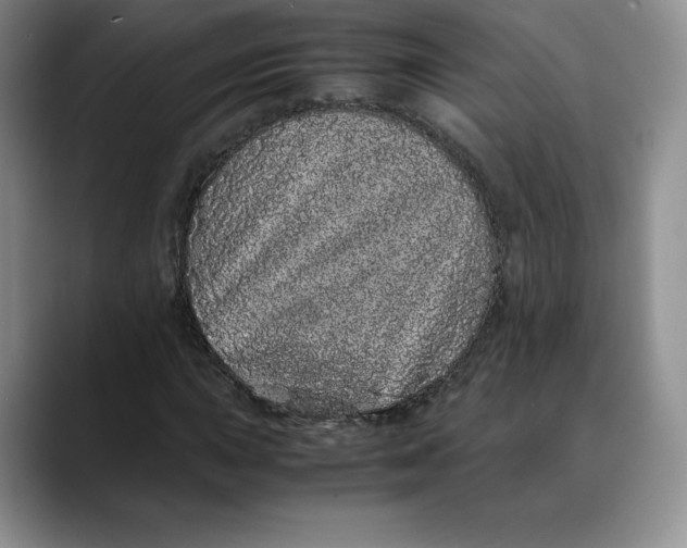 X0000088421015200706121428