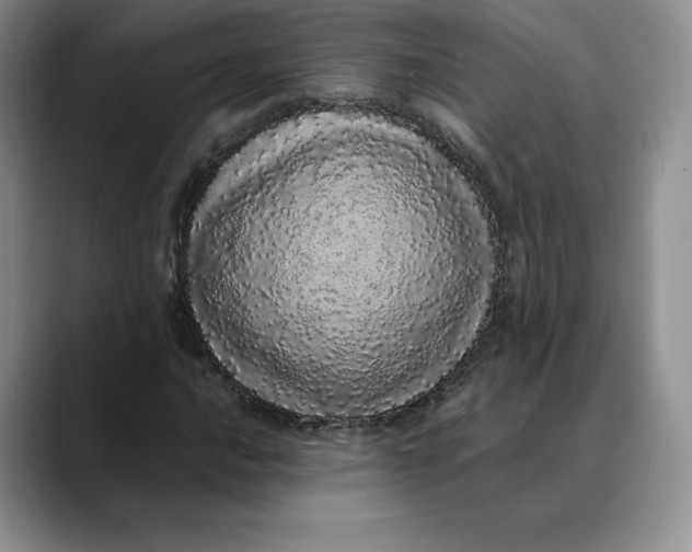 X0000088421016200706121428
