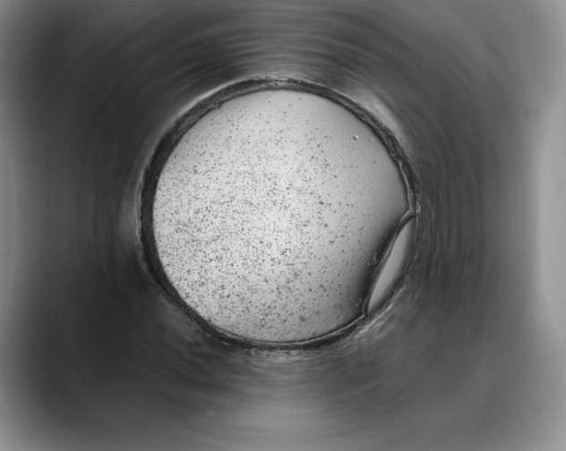 X0000088421020200706121429