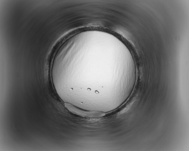 X0000088421021200706121429
