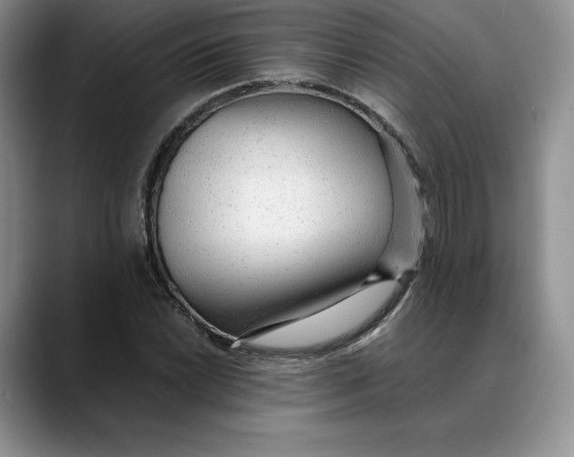 X0000088421022200706121429