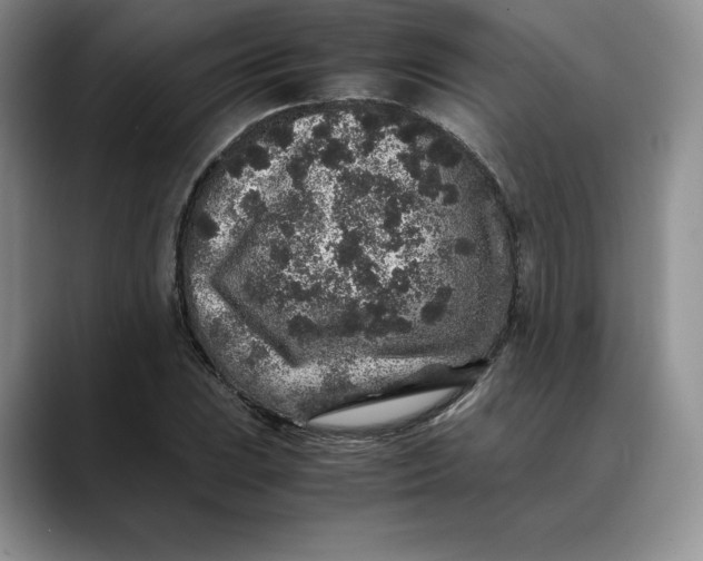 X0000088421023200706121429