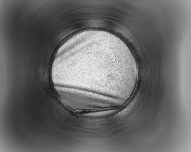 X0000088421025200706121429