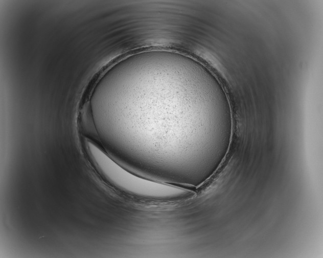 X0000088421026200706121429