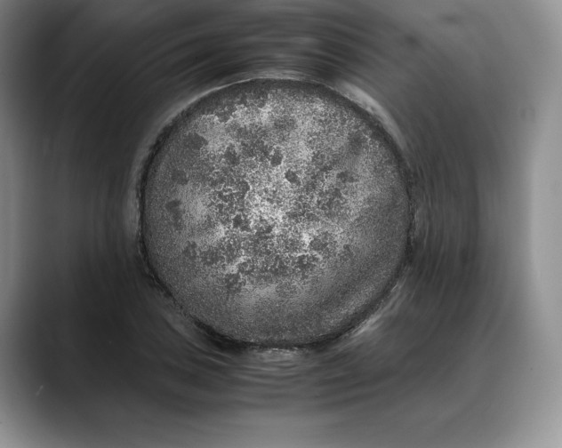 X0000088421027200706121429