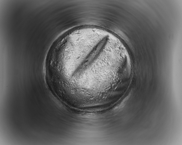 X0000088421028200706121429