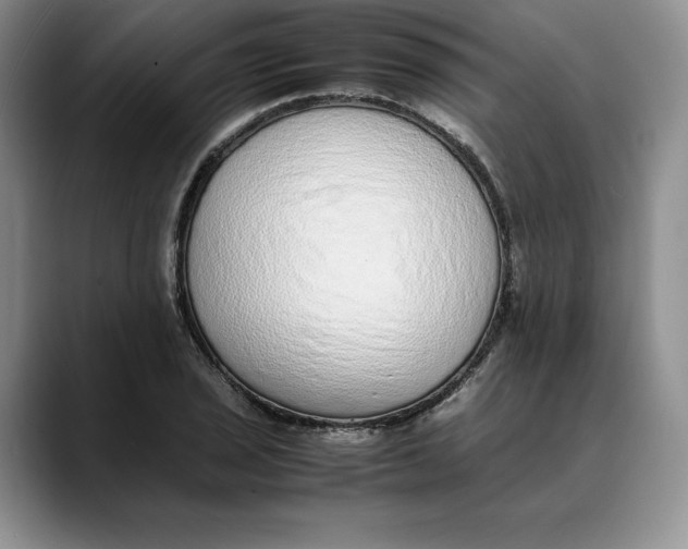 X0000088421029200706121429