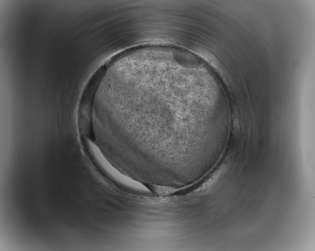 X0000088421030200706121429