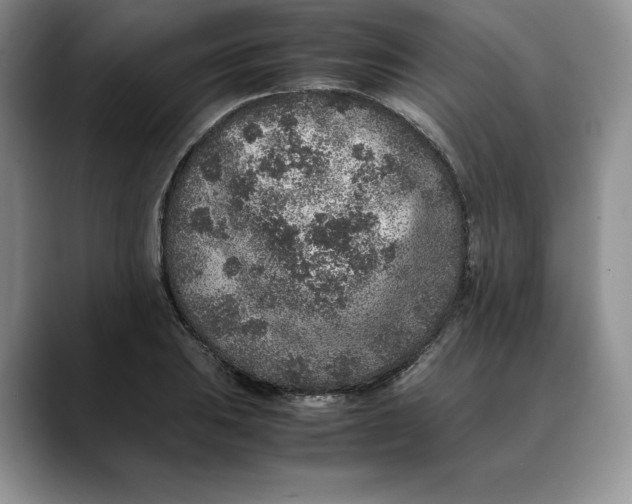 X0000088421031200706121429