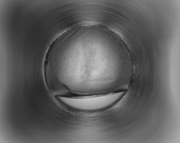 X0000088421034200706121429