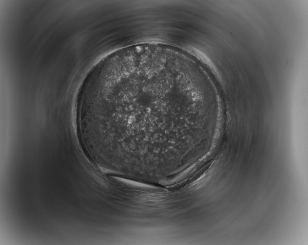 X0000088421035200706121429