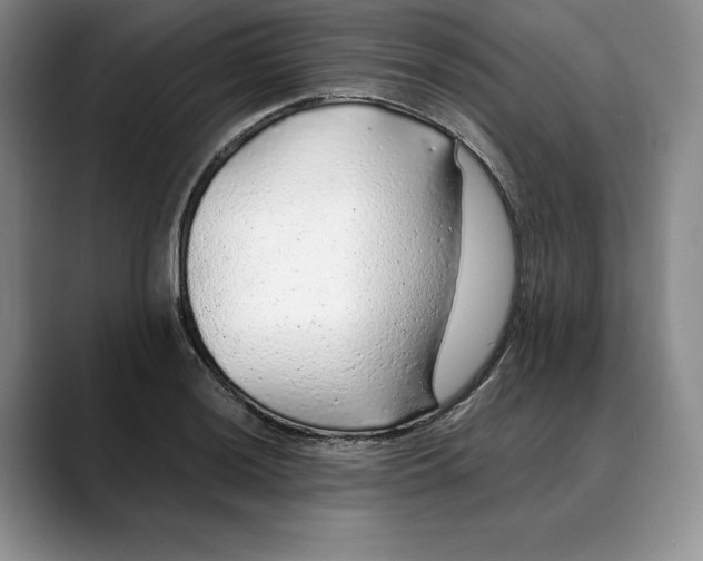 X0000088421036200706121429