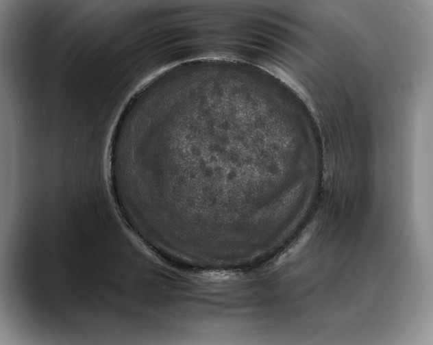 X0000088421037200706121429
