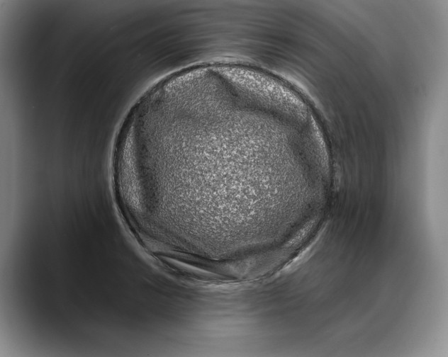 X0000088421038200706121429