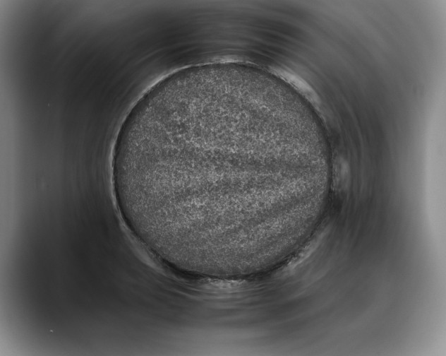 X0000088421039200706121429