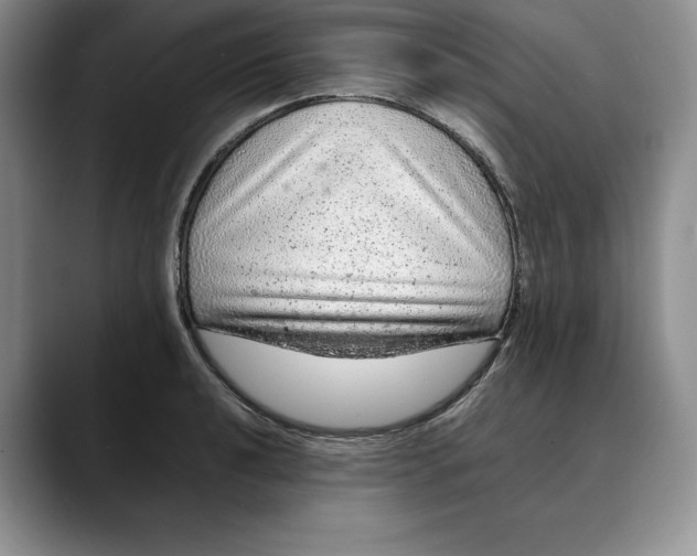 X0000088421040200706121429