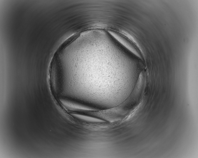 X0000088421042200706121429