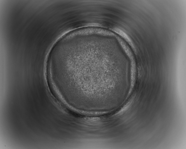 X0000088421043200706121429