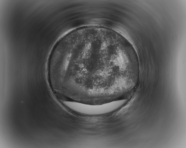 X0000088421045200706121429