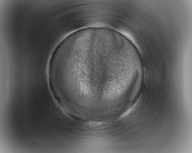X0000088421046200706121429