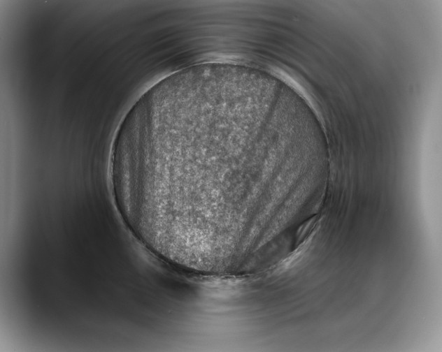X0000088421050200706121429