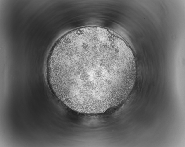 X0000088421051200706121429