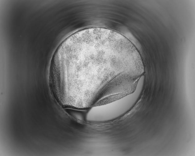 X0000088421052200706121429