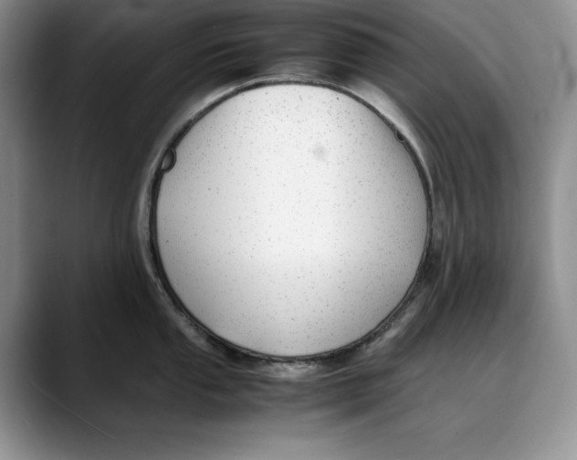 X0000088421053200706121429