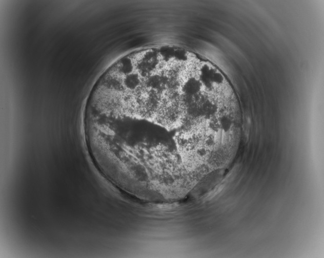 X0000088421055200706121429